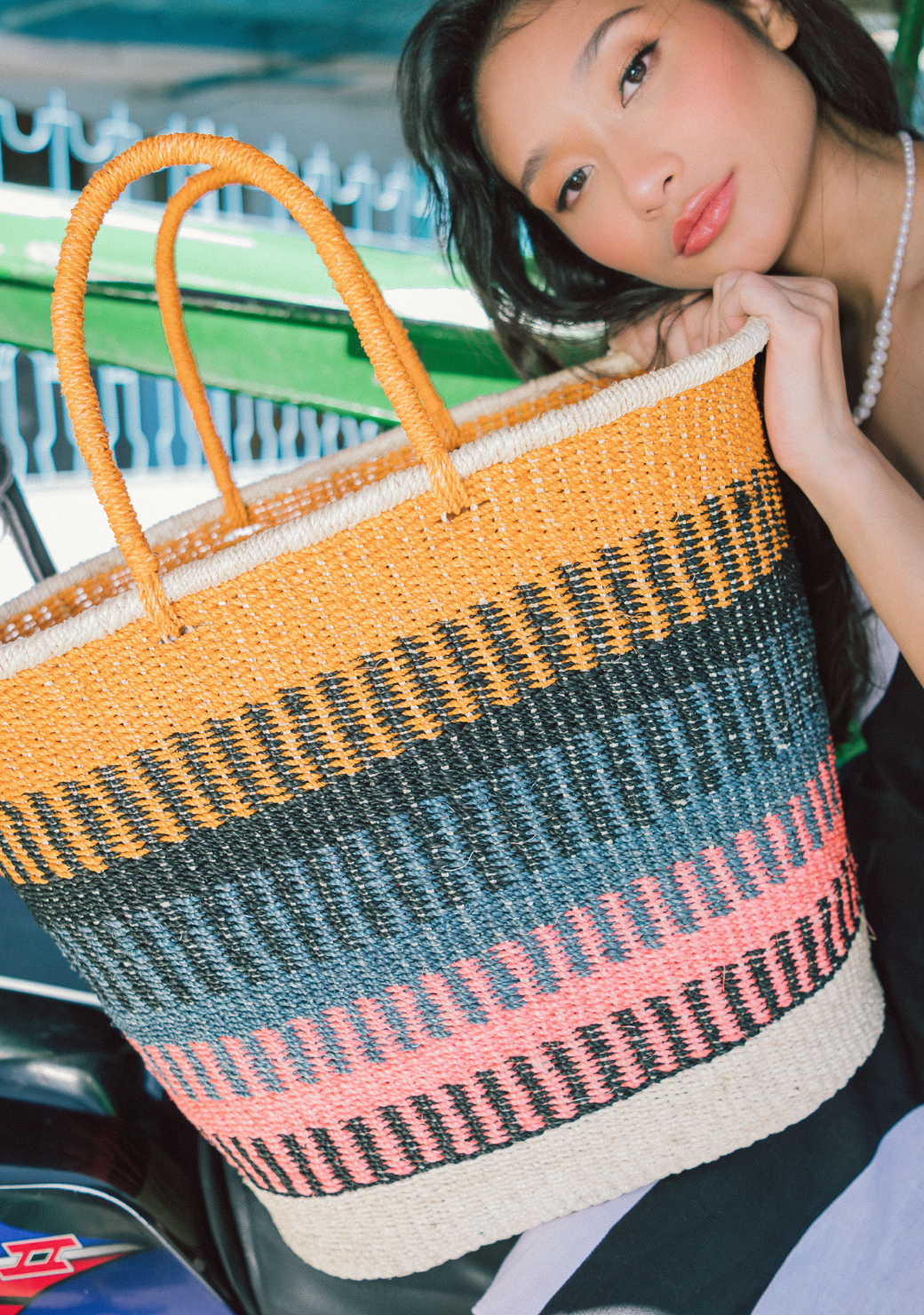 Picnic Bag
