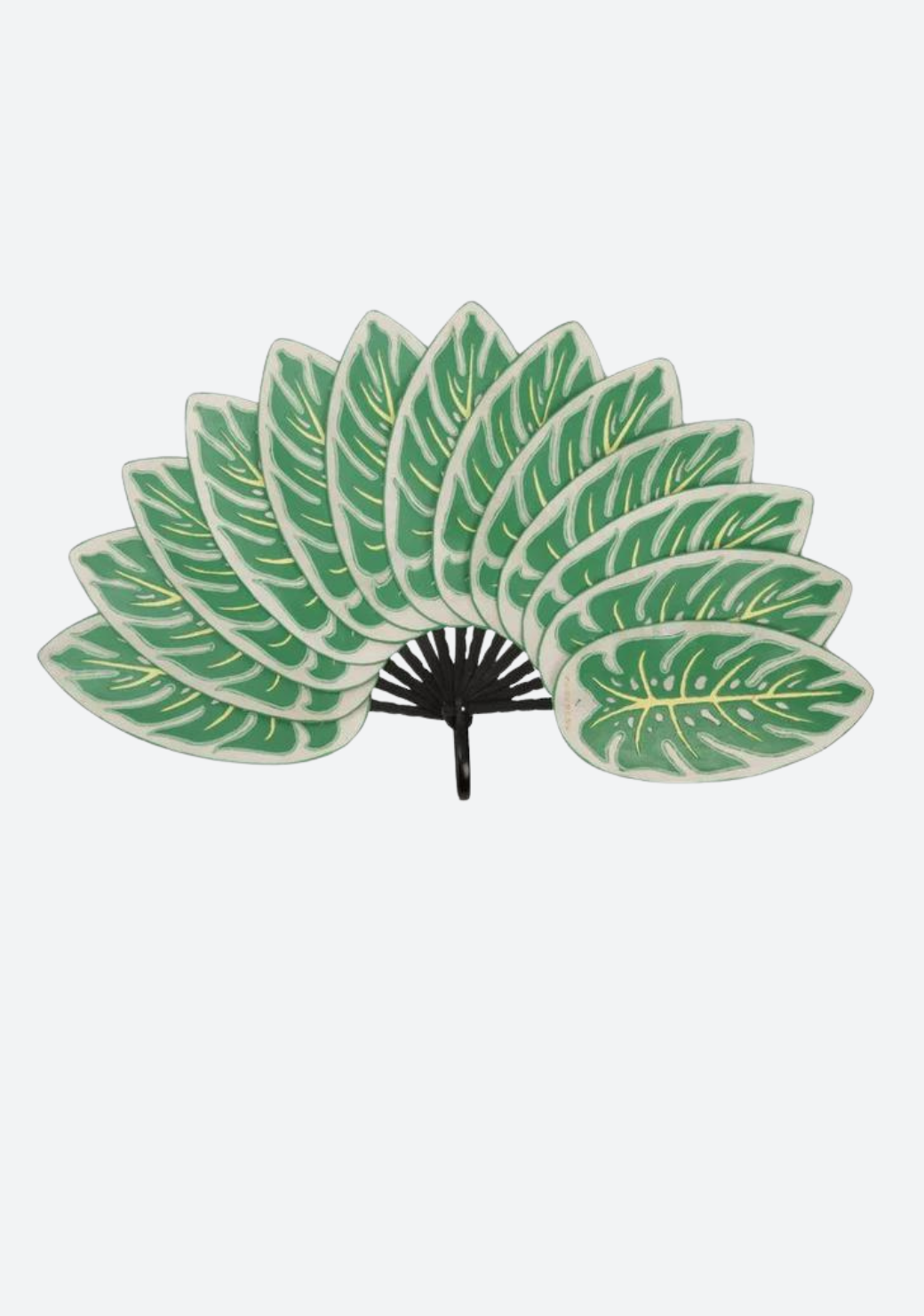 Monstera Fan