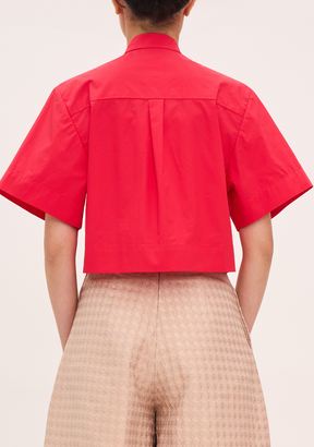 Lunar New Year Capsule: Yang Top