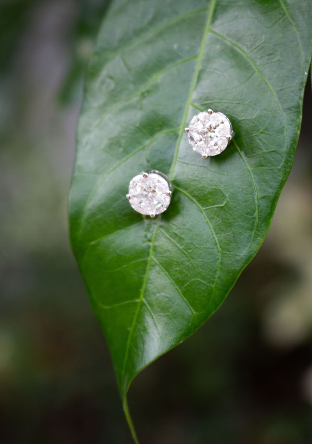 Diamond Cluster Studs & Coral Fan Earring Jackets